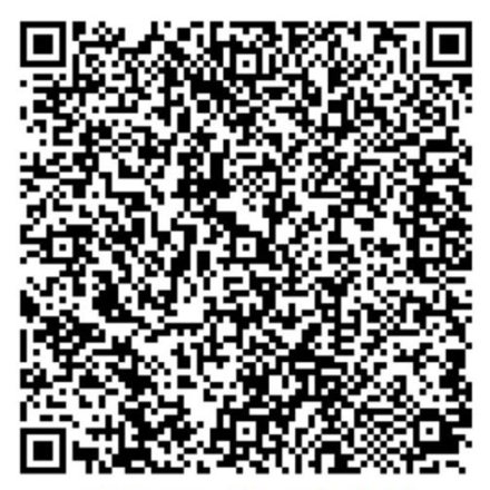 UPI QR code for Wings of Women